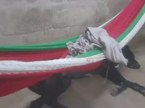 Snapshot of tripexnte chatting on February 16, 2025, 11:26 pm tripexnte online show from February 16, 2025, 11:26 pm