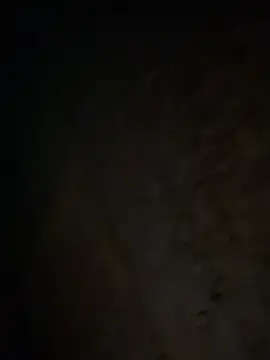 Snapshot of tripexnte chatting on February 20, 2025, 6:39 am tripexnte online show from February 20, 2025, 6:39 am