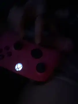 Snapshot of tripexnte chatting on February 23, 2025, 11:33 am tripexnte online show from February 23, 2025, 11:33 am