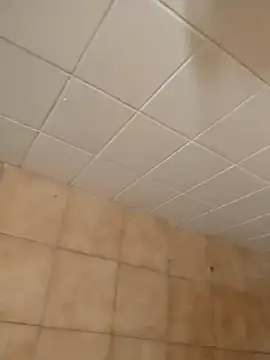 moder066 online show from December 11, 2024, 7:46 pm