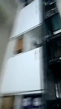 pedritolobito online show from December 3, 2024, 1:41 am