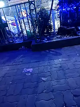 riyajfuckboy online show from December 25, 2024, 9:33 pm