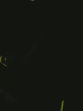 Pressure69mee online show from March 2, 2025, 10:59 pm