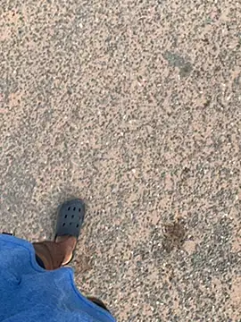 Black mamba madingo online show from January 30, 2025, 8:11 am