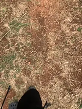 Black mamba madingo online show from February 23, 2025, 1:10 pm