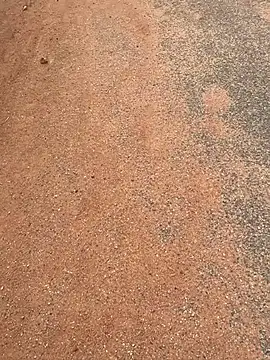 Black mamba madingo online show from March 20, 2025, 7:47 am