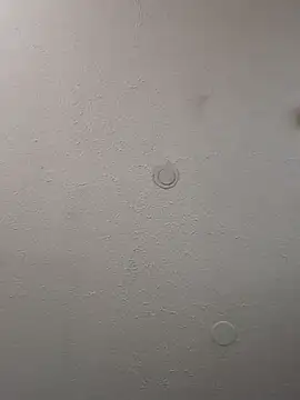 geilerschwanz64 online show from February 11, 2025, 4:11 am