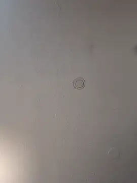 geilerschwanz64 online show from March 19, 2025, 12:59 am