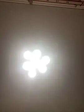 Janet Welder online show from November 16, 2025, 8:25 pm