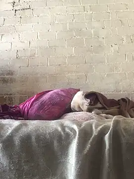 Sweet   Dick online show from January 30, 2025, 7:18 am