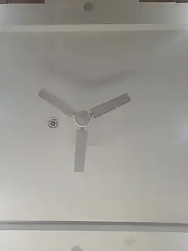 Archi-07 online show from October 29, 2025, 7:04 pm