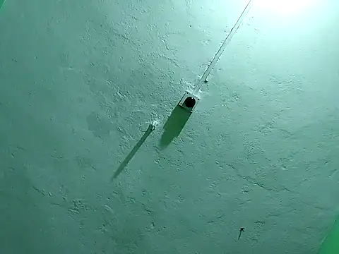 RADHAHO online show from November 2, 2025, 9:50 pm