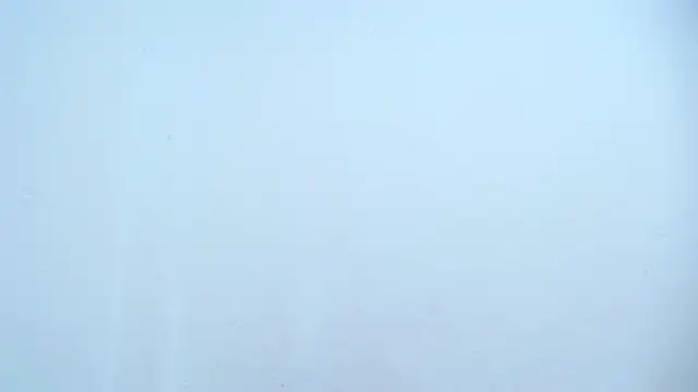 moan sex2 online show from March 8, 2025, 11:37 am