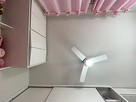 Snapshot of lariic chatting on March 10, 2025, 12:48 pm lariic online show from March 10, 2025, 12:48 pm