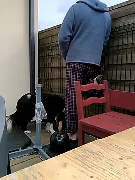 bogland33 online show from March 13, 2025, 10:15 am