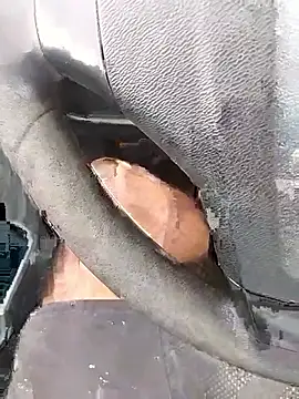 Blacklicious777 online show from January 12, 2026, 2:44 pm