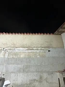 Leo bunny hot online show from January 10, 2026, 2:24 am