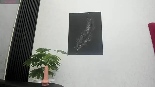 Cristopher23  online show from February 12, 2025, 7:45 pm