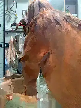 Aimeil online show from November 18, 2025, 3:27 pm