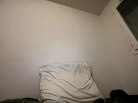 Rebeu313 online show from December 17, 2025, 9:32 pm