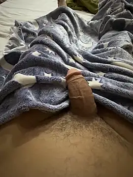 hamed-697 online show from February 1, 2026, 8:46 am