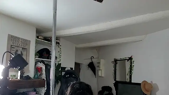 Snapshot of CeriseLapine chatting on November 16, 2025, 10:32 am CeriseLapine online show from November 16, 2025, 10:32 am