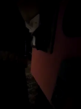 pumapatri online show from March 11, 2026, 6:25 pm