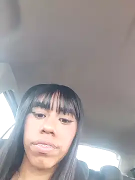 India grelo grande online show from December 12, 2024, 10:02 am