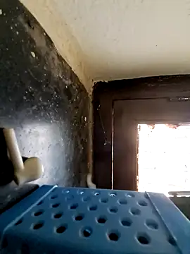 Snapshot of hot_telugu_dickK07 chatting on December 10, 2024, 7:37 am hot telugu dickK07 online show from December 10, 2024, 7:37 am