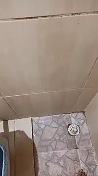 1995eduardo online show from February 21, 2025, 1:22 pm