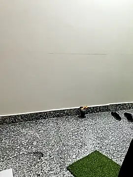 Saroj-Shah online show from February 3, 2026, 3:15 am