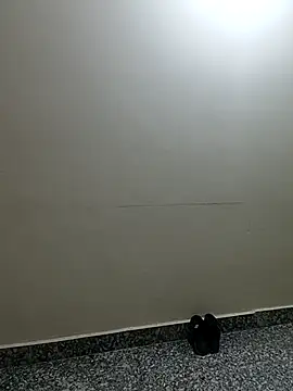 Saroj-Shah online show from April 2, 2026, 3:37 am