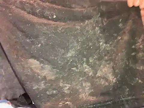 barenlund456 online show from April 19, 2026, 8:55 pm