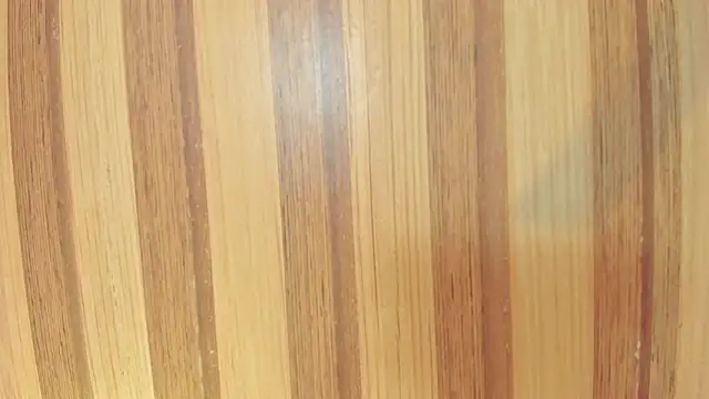 Taylor  cooper online show from February 23, 2026, 6:38 pm