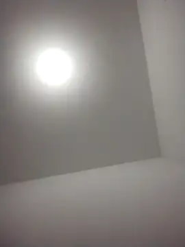 Snapshot of barboza991 chatting on December 28, 2024, 11:48 pm barboza991 online show from December 28, 2024, 11:48 pm