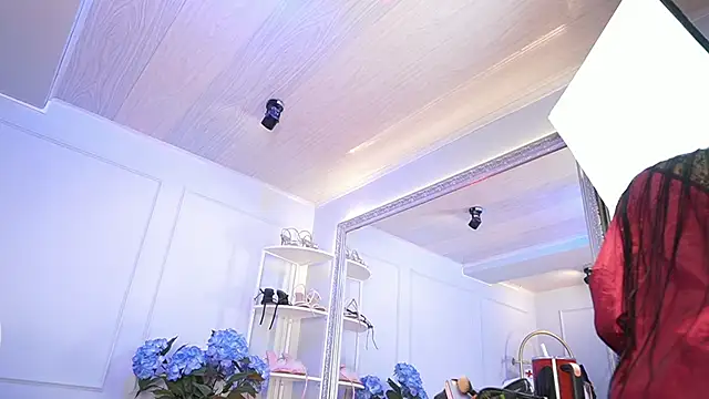 elasummer online show from March 31, 2026, 1:11 pm