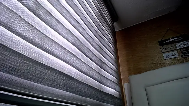 palmer mIix online show from December 2, 2024, 3:14 pm