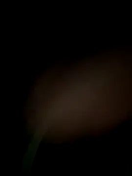 satrr xxx online show from September 29, 2025, 8:24 pm