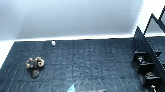 Hanna Fox 69 online show from December 29, 2024, 12:34 pm