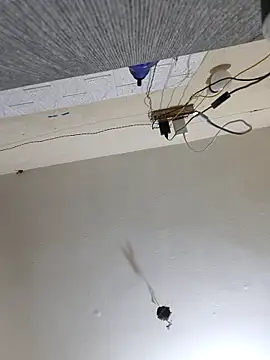 Neha8923 online show from March 13, 2025, 1:32 am