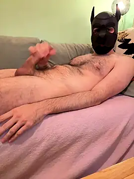 FrenchCamDog online show from October 11, 2025, 11:14 pm