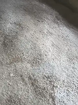 SisterlyFarmhand online show from October 12, 2025, 10:58 am