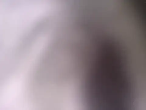 Snapshot of pantomax chatting on September 20, 2025, 8:48 am pantomax online show from September 20, 2025, 8:48 am