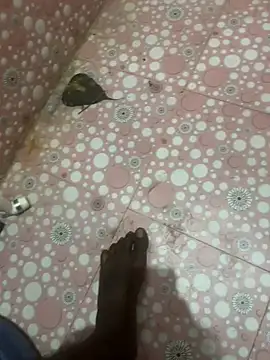 tamil000000 online show from December 4, 2024, 5:44 pm