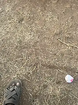 tamil000000 online show from March 10, 2025, 12:48 pm