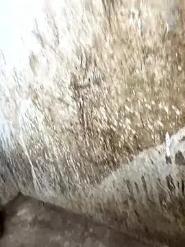 Snapshot of tamil000000 chatting on January 17, 2026, 10:31 am tamil000000 online show from January 17, 2026, 10:31 am