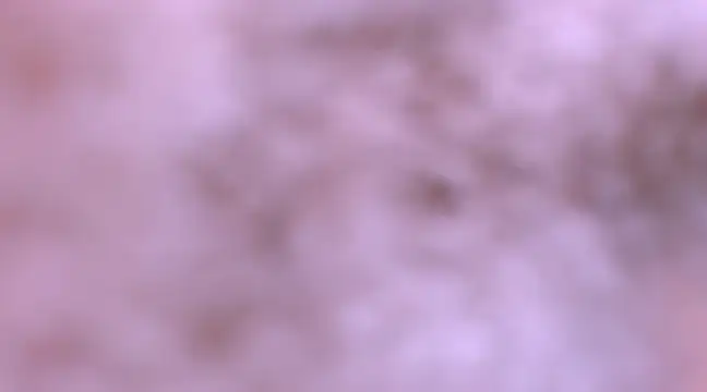 bubble red online show from February 8, 2025, 4:47 am