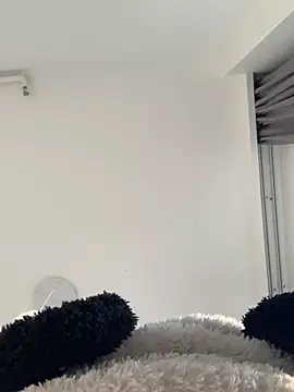 Sheep-1 online show from January 1, 2025, 10:00 am