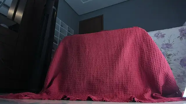 sherilkwang19tv online show from January 12, 2026, 12:49 am