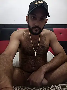 Snapshot of arqui009 chatting on January 12, 2026, 1:33 am arqui009 online show from January 12, 2026, 1:33 am